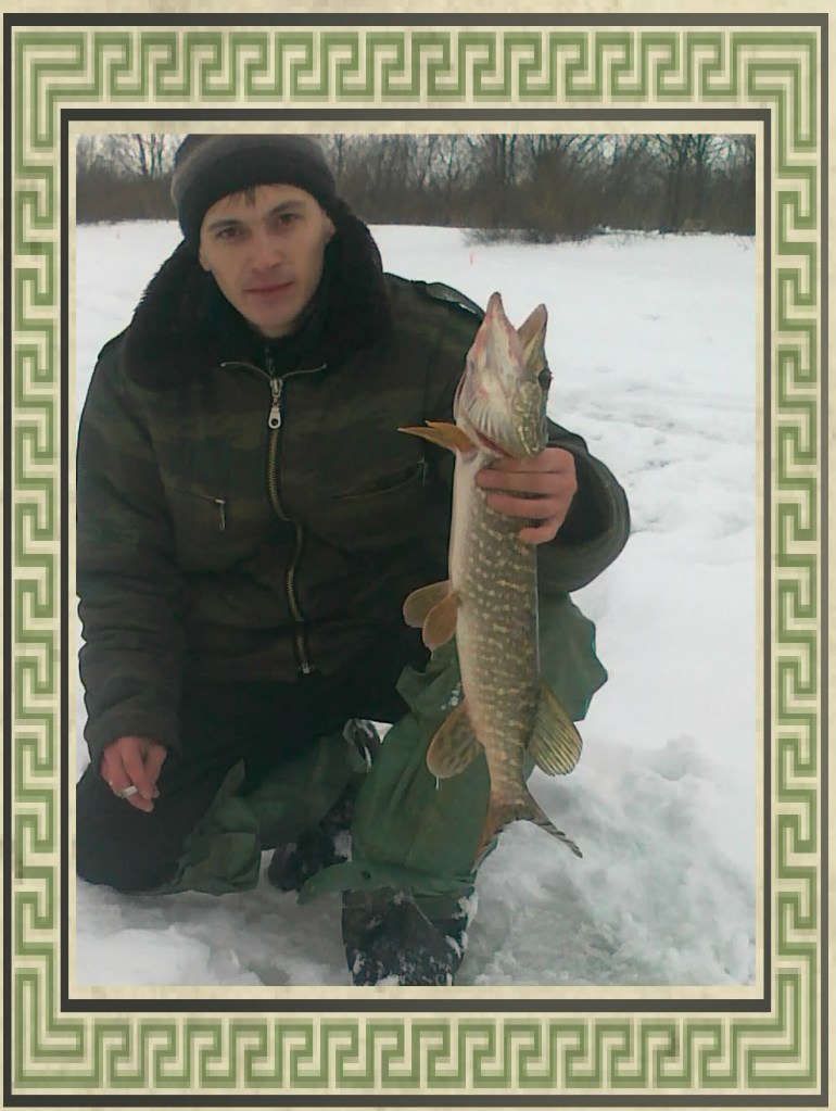 Сергей Мушкарев | Санкт-Петербург