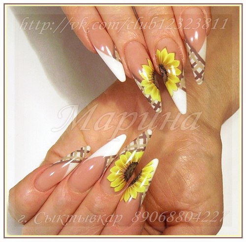 Наталья Коринна •.¸(¯`'•.¸•°▪♥чудо♥▪°•¸.•'´¯)¸.• | New York City