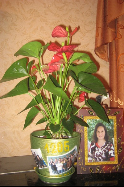 №30, Юлия Сургутанова, Самара №30, Юлия Сургутанова, Самара