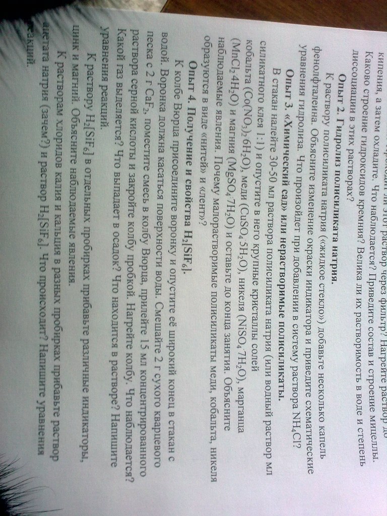 Мария Мишина | Ростов-на-Дону