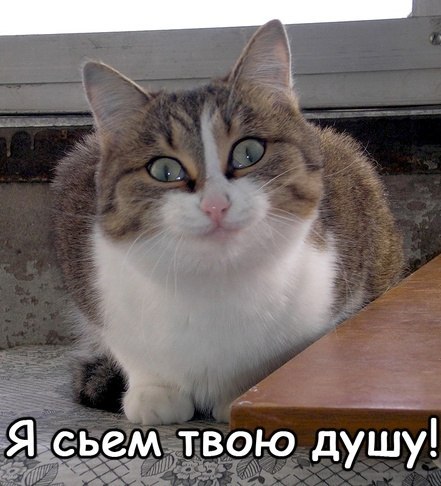 Мария Синицкая | Минск