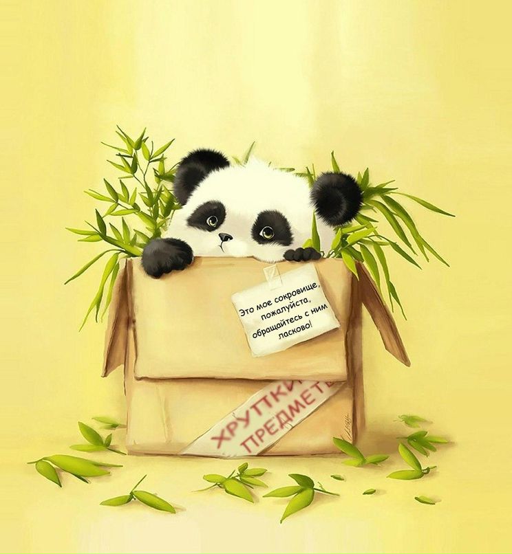 Юлия Мороз | Сумы