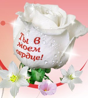 Аня Стасевич Игоревна | Брест