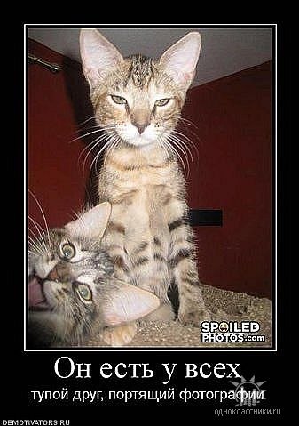 Марьям Гаджиалиева | Махачкала