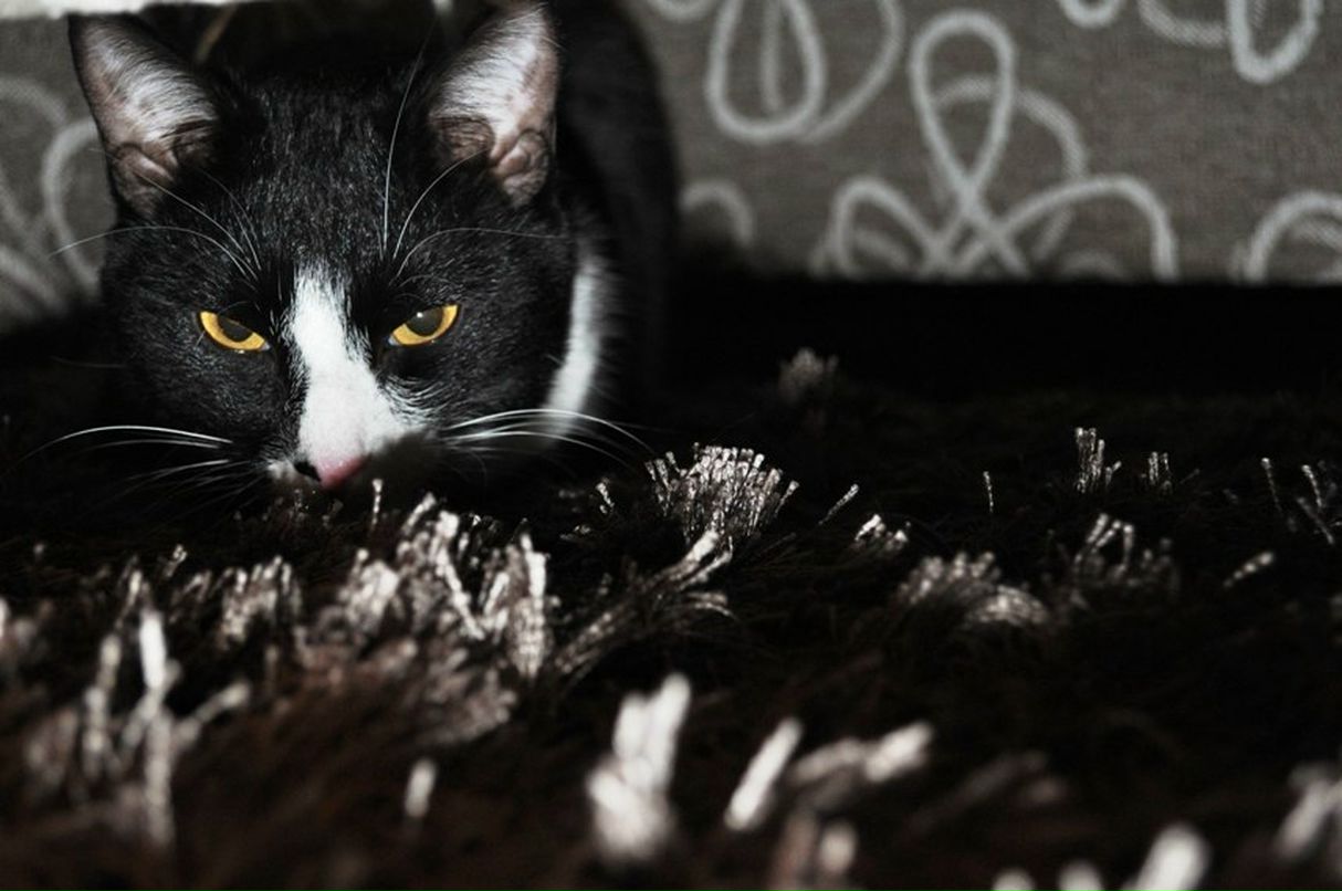 Зинаида Пахомова | Сургут