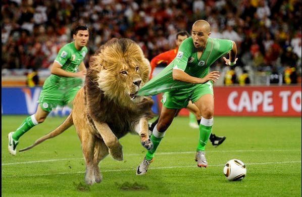 Youness Lviv | Львов