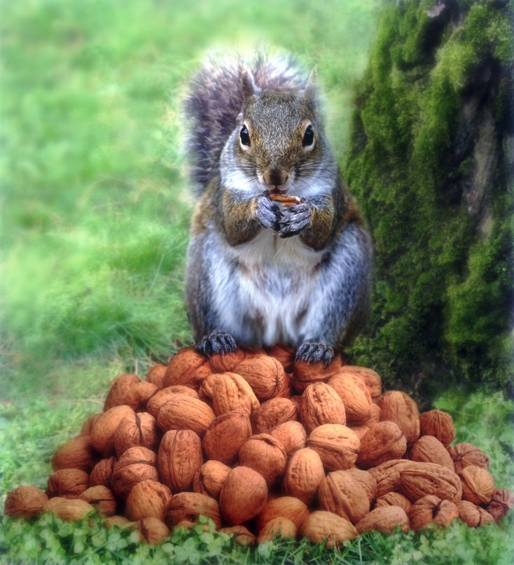 Татьяна Енотова | Ульяновск