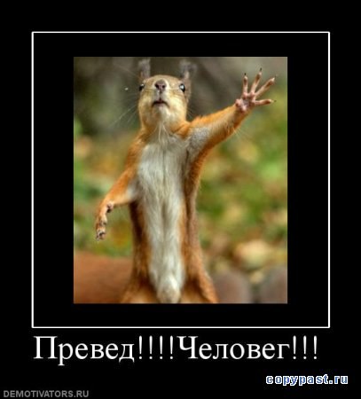 №101, Олег Сафин, Камышин №101, Олег Сафин, Камышин