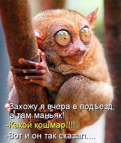 №64, Ольга Матиенко, 40 лет, Липецк №64, Ольга Матиенко, 40 лет, Липецк