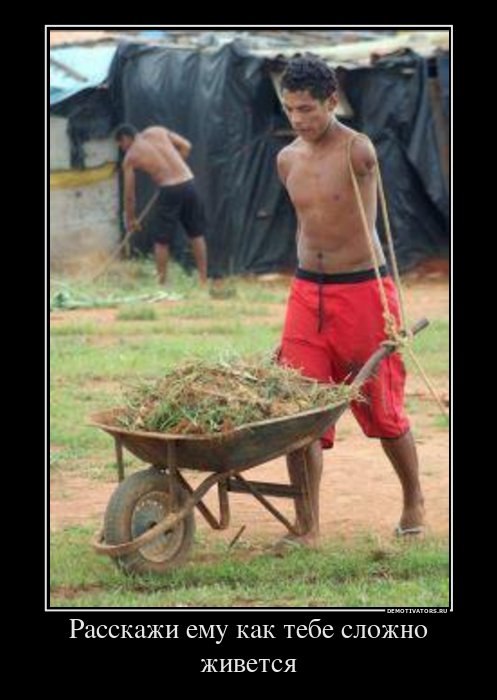 Дмитрий Иванов | 