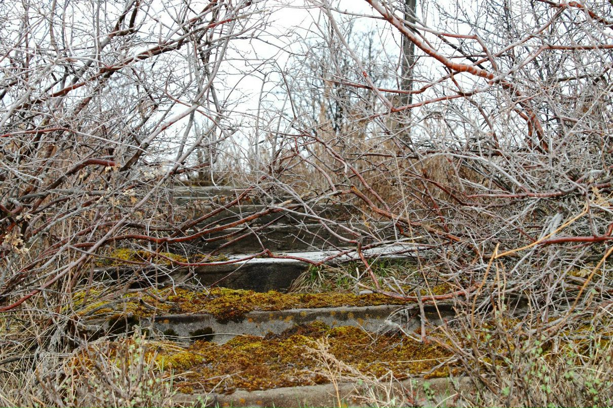 Николай Шмидт Михалыч | Алматы