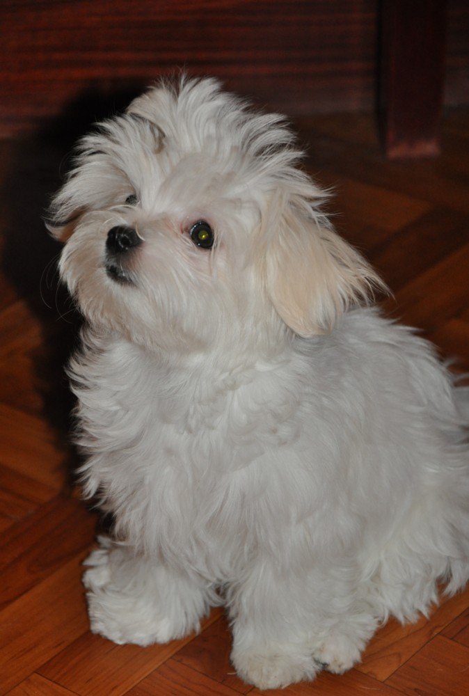 Марина Лазарева | Москва