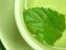 Ксения Золотарёва | Минск