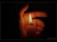 Анна Демиденко | 