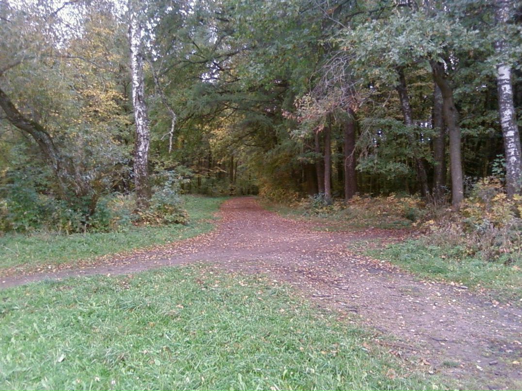 Андрей Тарасов | Ясная Поляна