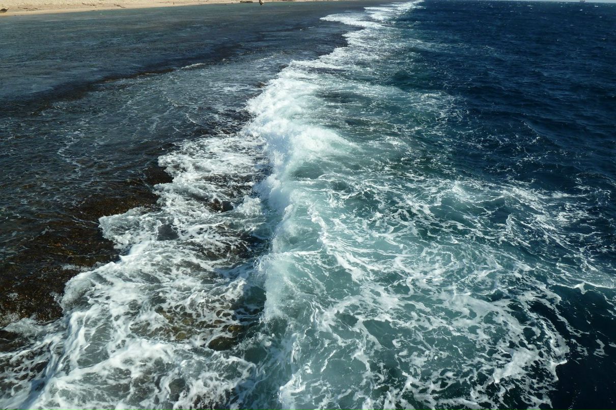 Андрей Комбаров | Ставрополь