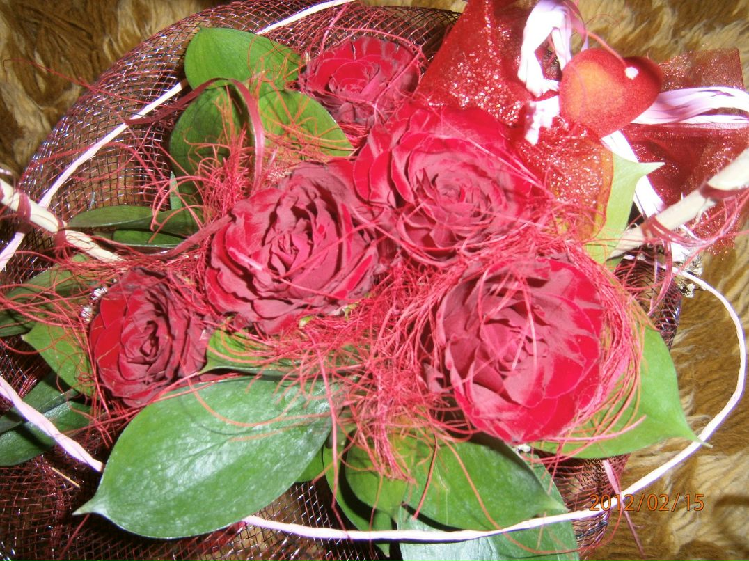 Галка Иванова | Болград