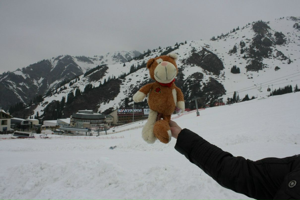 Виктория Паламарчук | Алматы