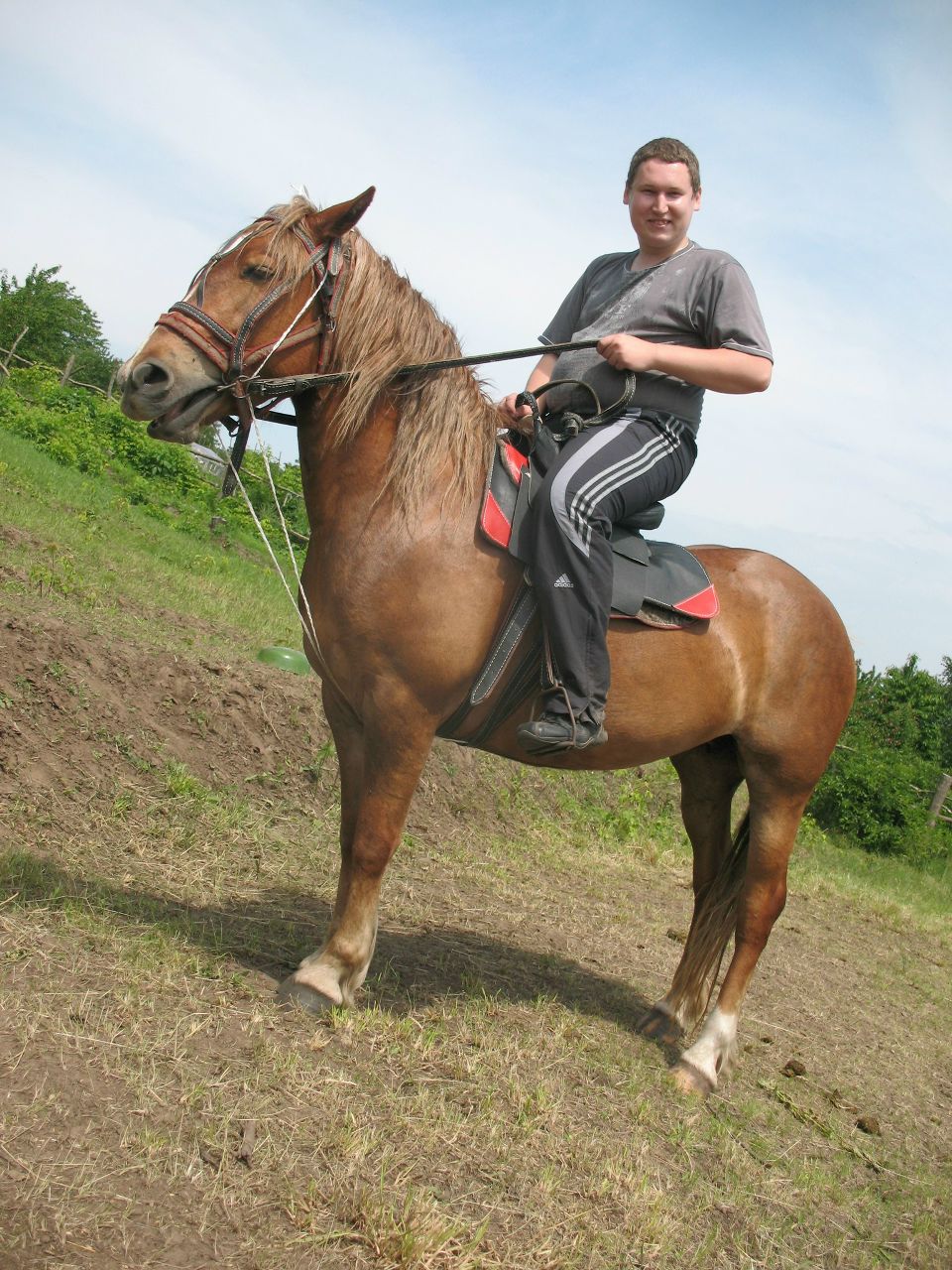 Михаил Бахмутский строгий директор | Кременчуг
