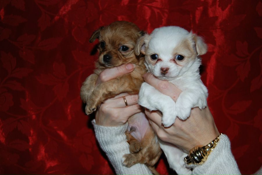 №109, Екатерина Панфилова, Санкт-Петербург №109, Екатерина Панфилова, Санкт-Петербург