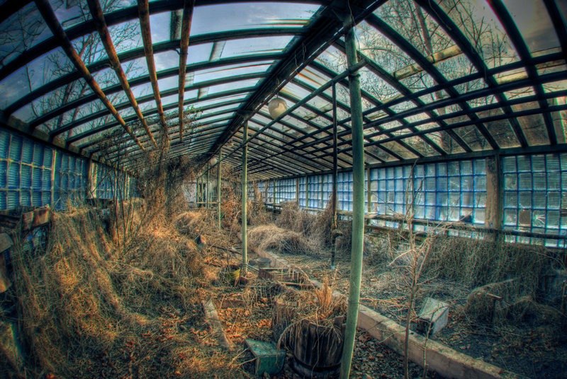 Вован Lobi | Москва