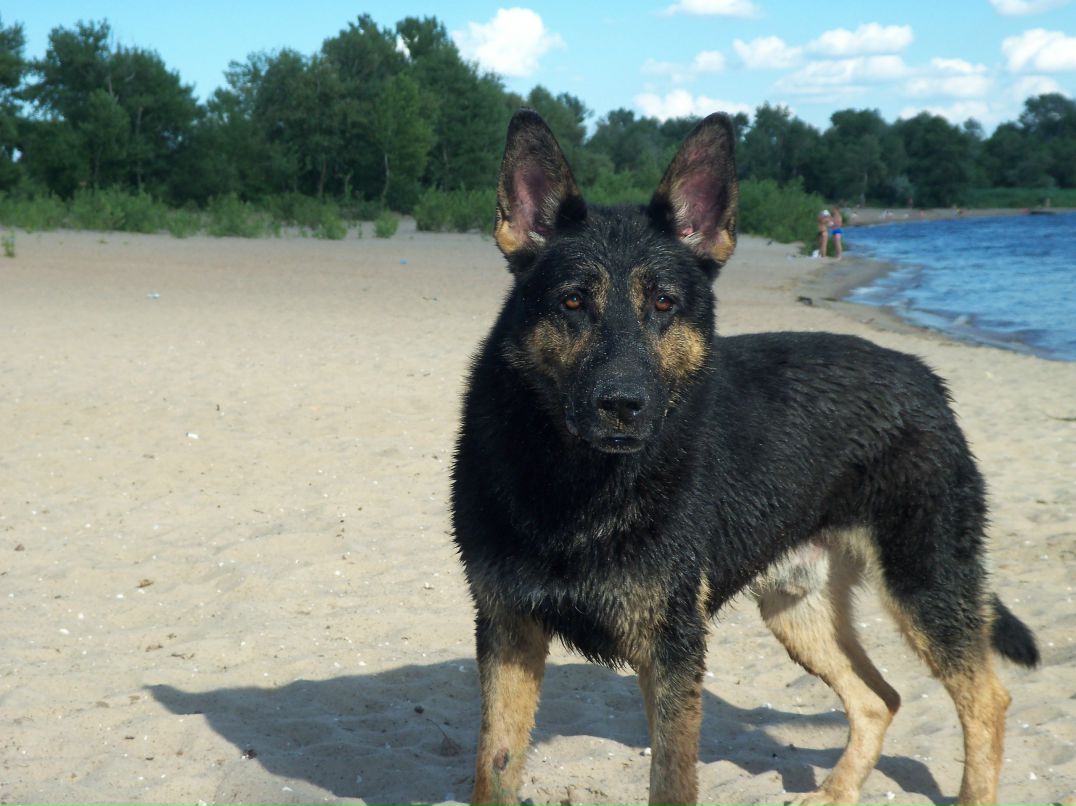 Владимир Иванюк | Запорожье