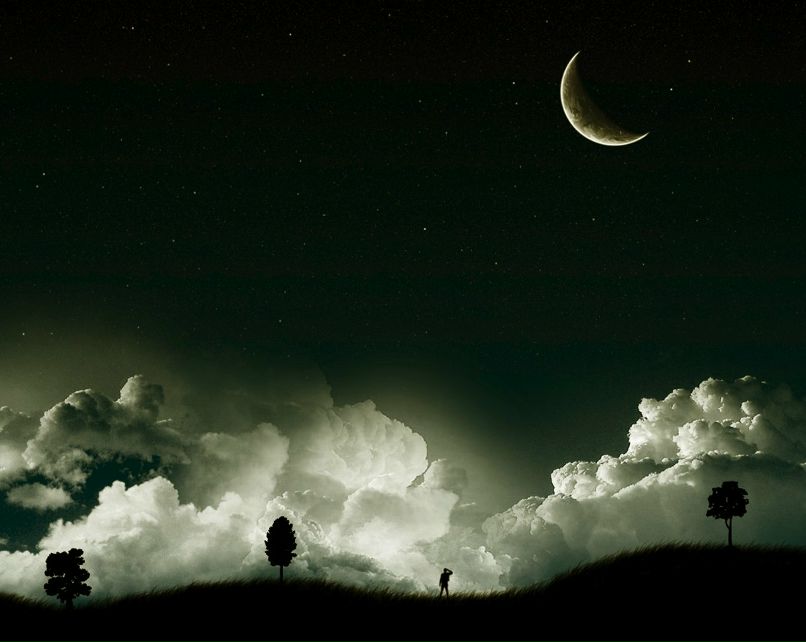 Лелик Жуков | Донецк