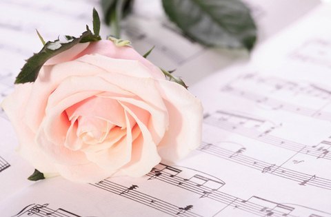 Диляра Усеинова | Ялта