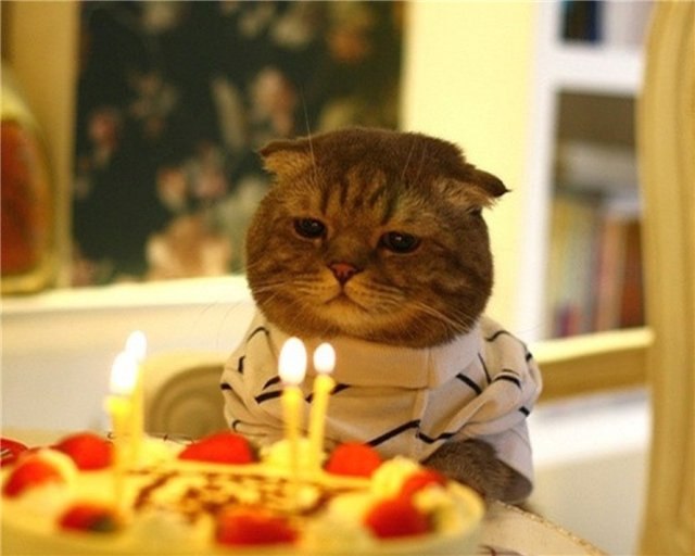 Diana Dynina | Москва