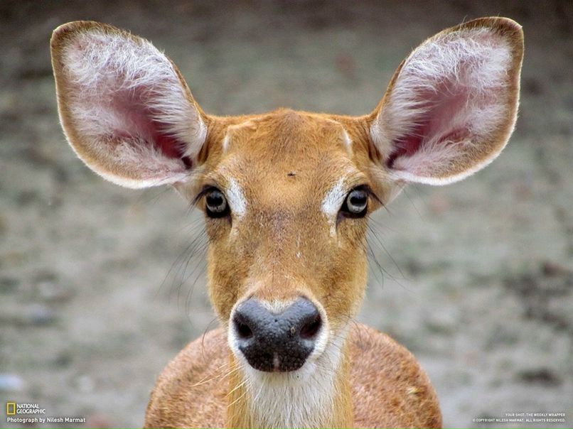 №10, Alexander Rozhenyuk, Киев №10, Alexander Rozhenyuk, Киев