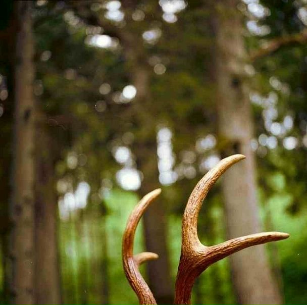 №65, Виктор Терентьев, Череповец №65, Виктор Терентьев, Череповец