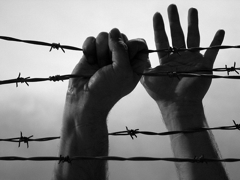 Дмитрий Терёхин ᴼᴿᴵᴳᴵᴻᴬᴸ | Казань