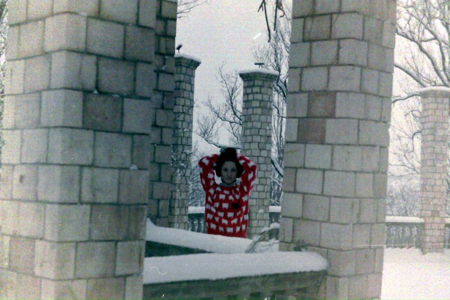 №132, Улья Хадсон, Запорожье №132, Улья Хадсон, Запорожье