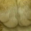 №2, Александр Нетипанов, 46 лет, Санкт-Петербург №2, Александр Нетипанов, 46 лет, Санкт-Петербург