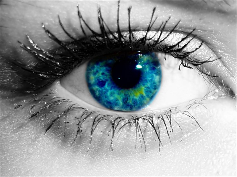 Алина Товкач | Житомир