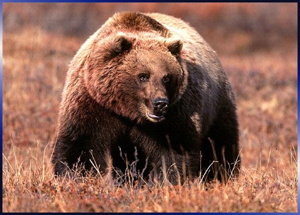 Владимир Ефимов | Тюмень