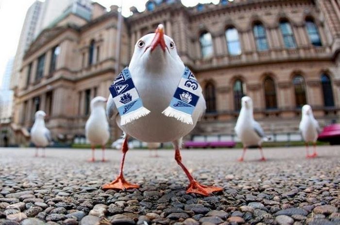 Александр Дымоффъ | Санкт-Петербург