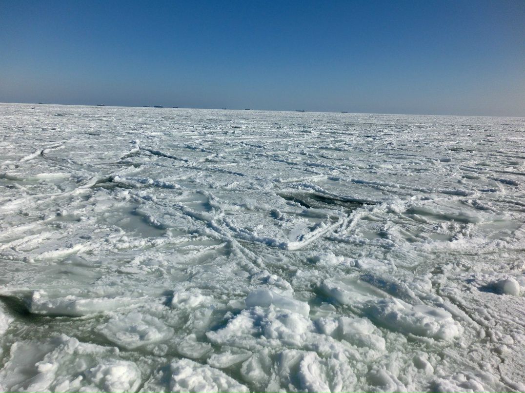 Володя Медведев | Одесса