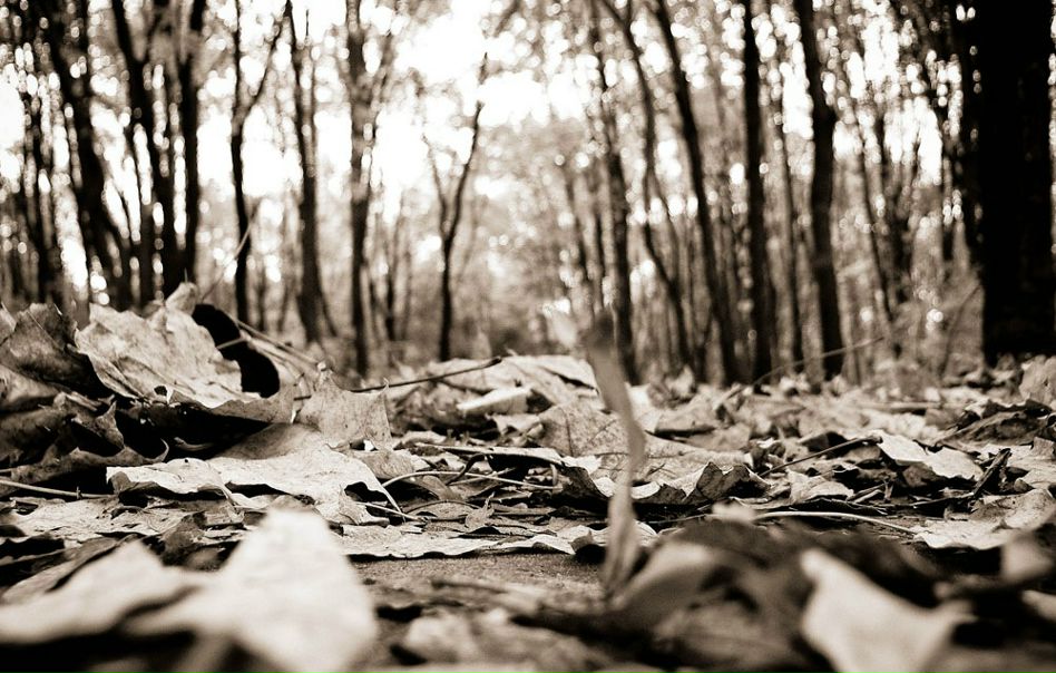 №39, Мария Котякова, Чебоксары №39, Мария Котякова, Чебоксары