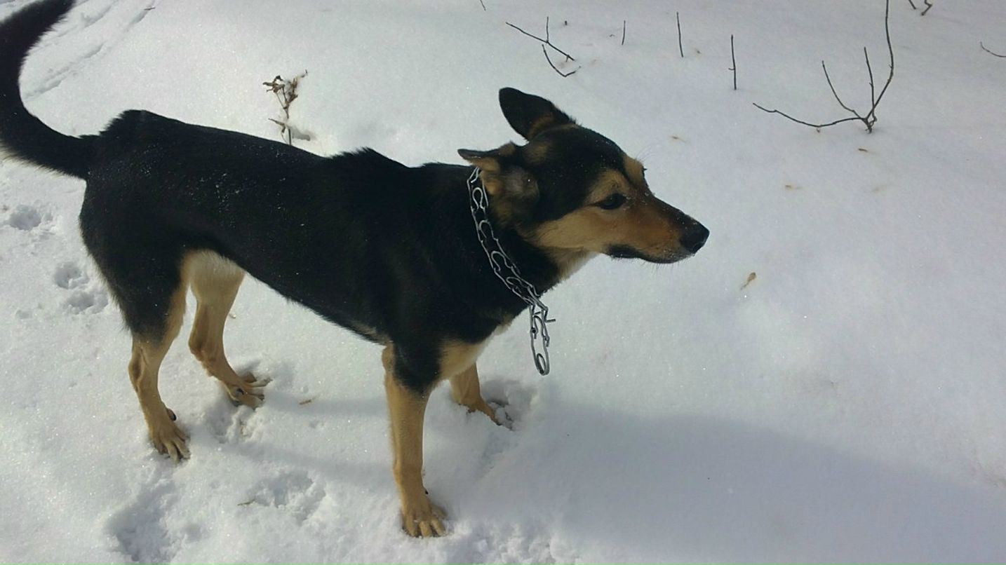 Станислав Борисов | Москва