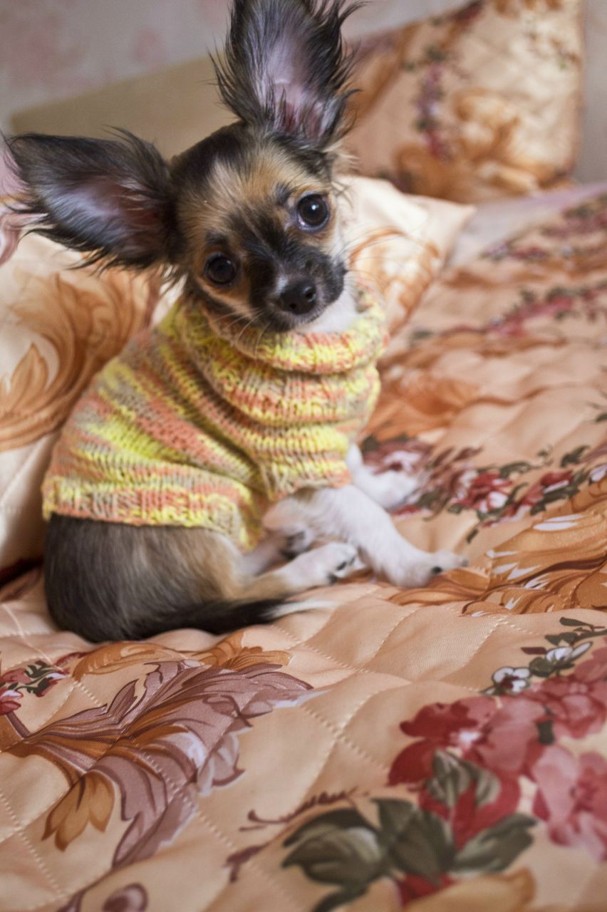 Галина Широбокова | Санкт-Петербург