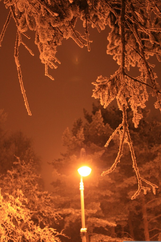 Людмила Сомова | Санкт-Петербург