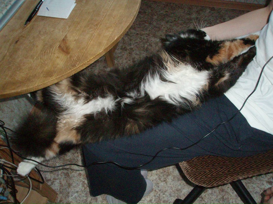 Игорь Егоров | Санкт-Петербург