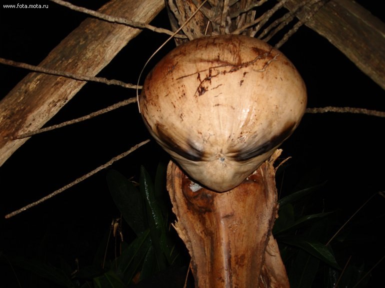 Ян Климаевский | Санкт-Петербург