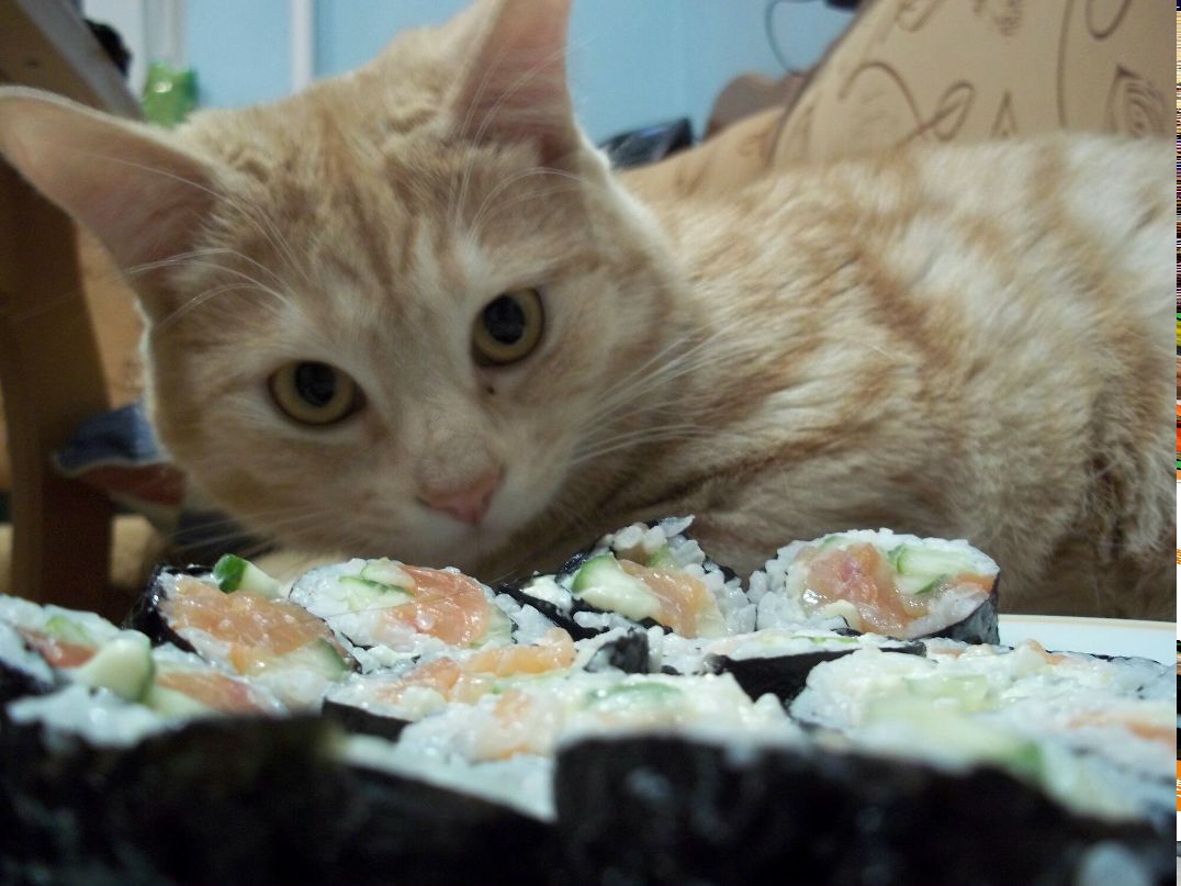 Юлия Драпеза | Брянск