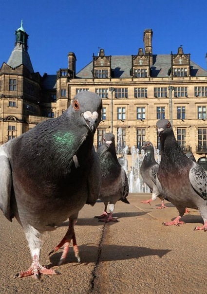 №20, Олинька Кальницкая, Киев №20, Олинька Кальницкая, Киев