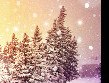 Тамара Аникина | Череповец