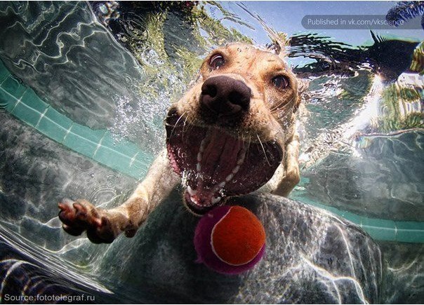 Ольга Дутковская | Калининград