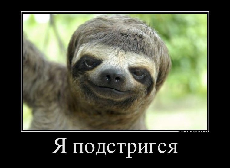 Антон Роботов | Донецк