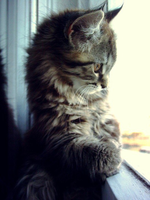 Ольга Овчинникова Nika | Москва